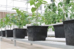 Pěstební hydroponický květináč Dutch Bucket FarmCo s výpustí a kapkovou závlahou
