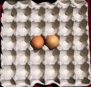 Proložka na vejce z nasávané kartonáže (plato na 30 vajec) - použitá
