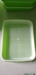 Miniskleník minipařenište školka FarmCo Home Microgreens seed tray 34 x 25 x 4,5 cm extra odolné provedení