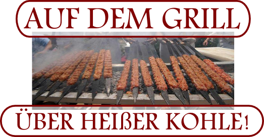 Ukázka Adana kebabu na grillu
