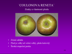 Rohový strom nahoře vlevo.