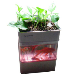 Akvárium - akvaponický systém FarmCo 6